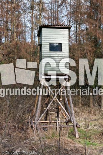 Hochstände (124 von 154).jpg